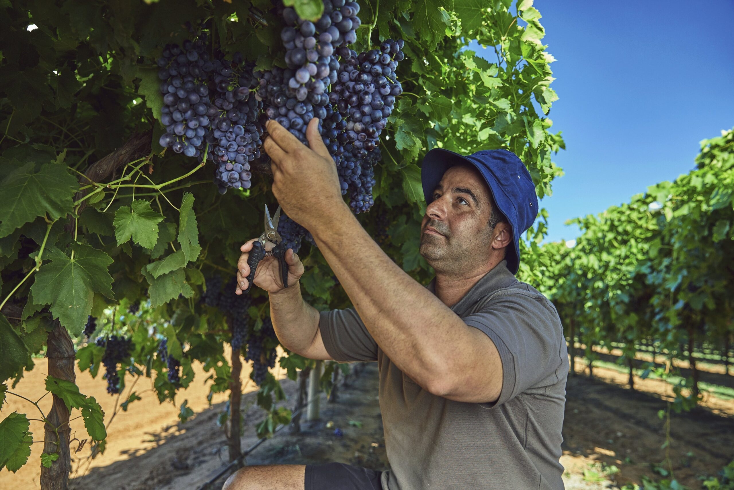 The Power of Social Enterprise and Grass-Roots Decision Making: Lessons in Innovation