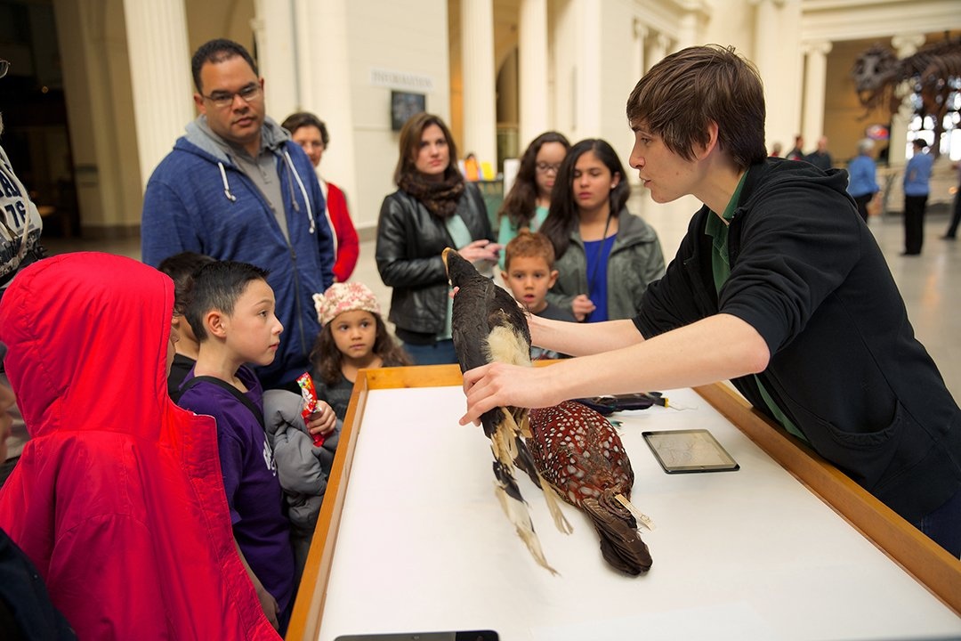 Grants Roundup: Grainger Foundation Awards $20 Million to Chicago’s Field Museum