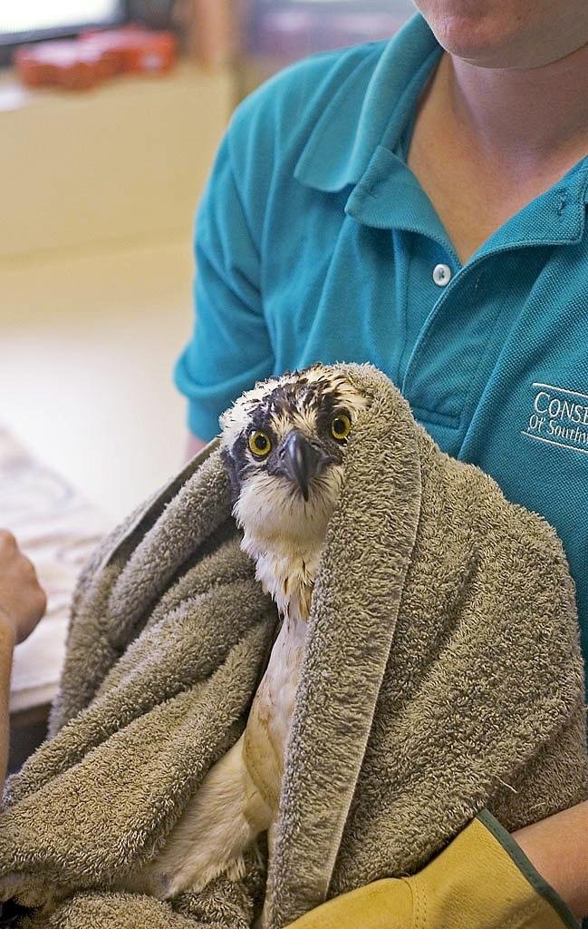 Environmental Groups Chalk Up 2.7% Increase in Gifts, Report Finds