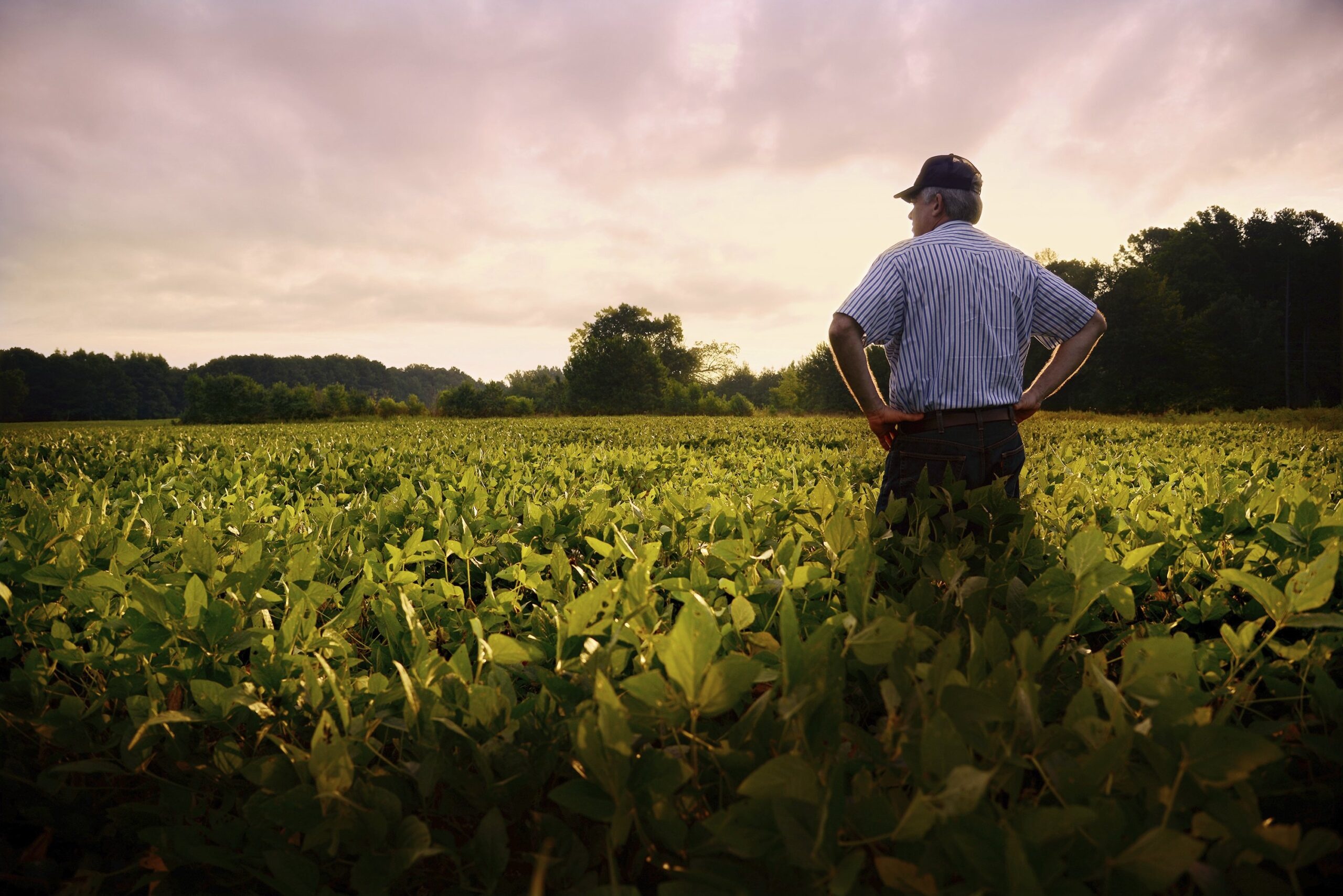 Grants Roundup: N.C. State Gets $45 Million for Plant Research