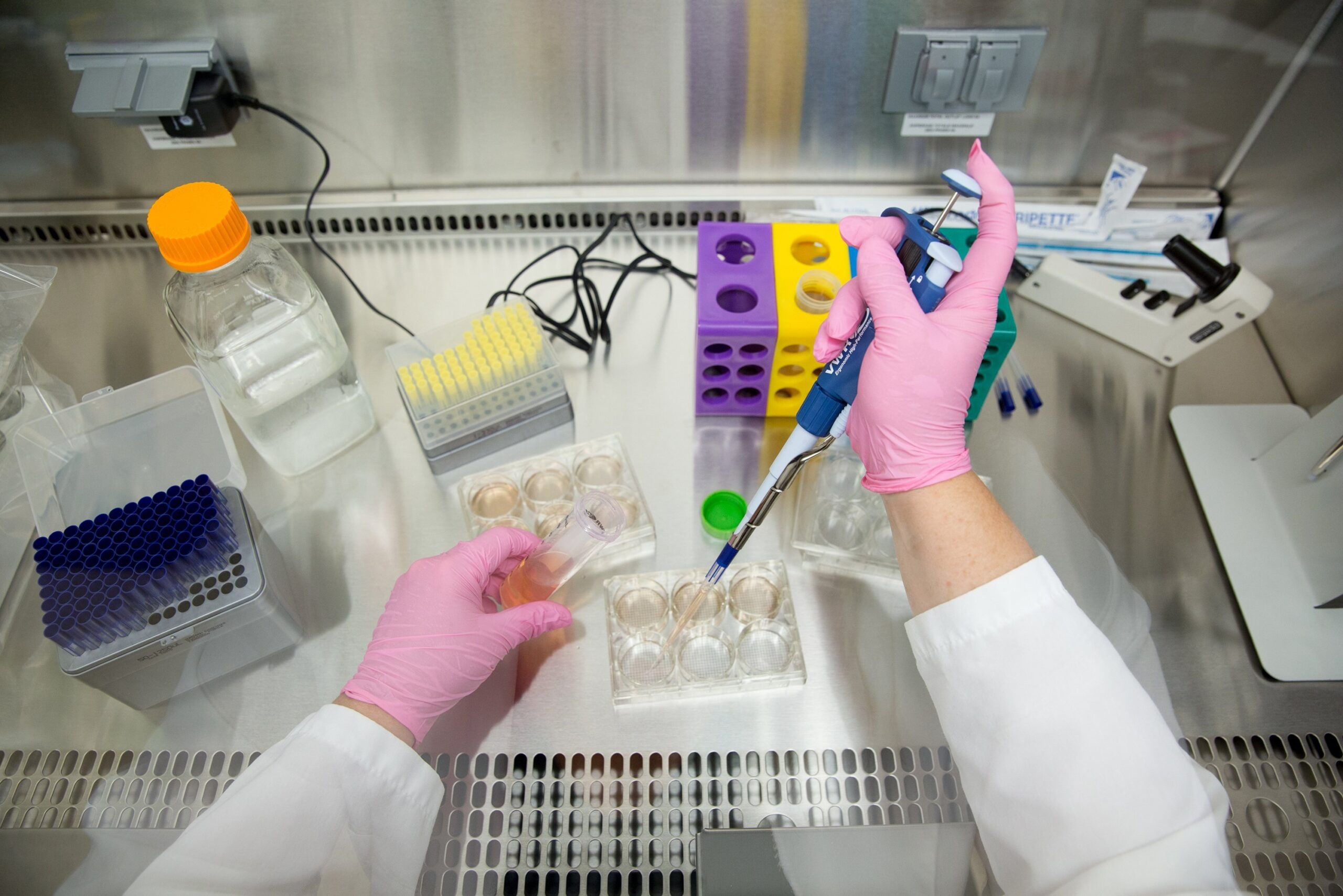 Donors — Especially the Newly Wealthy — Need to Make Scientific Research a Priority