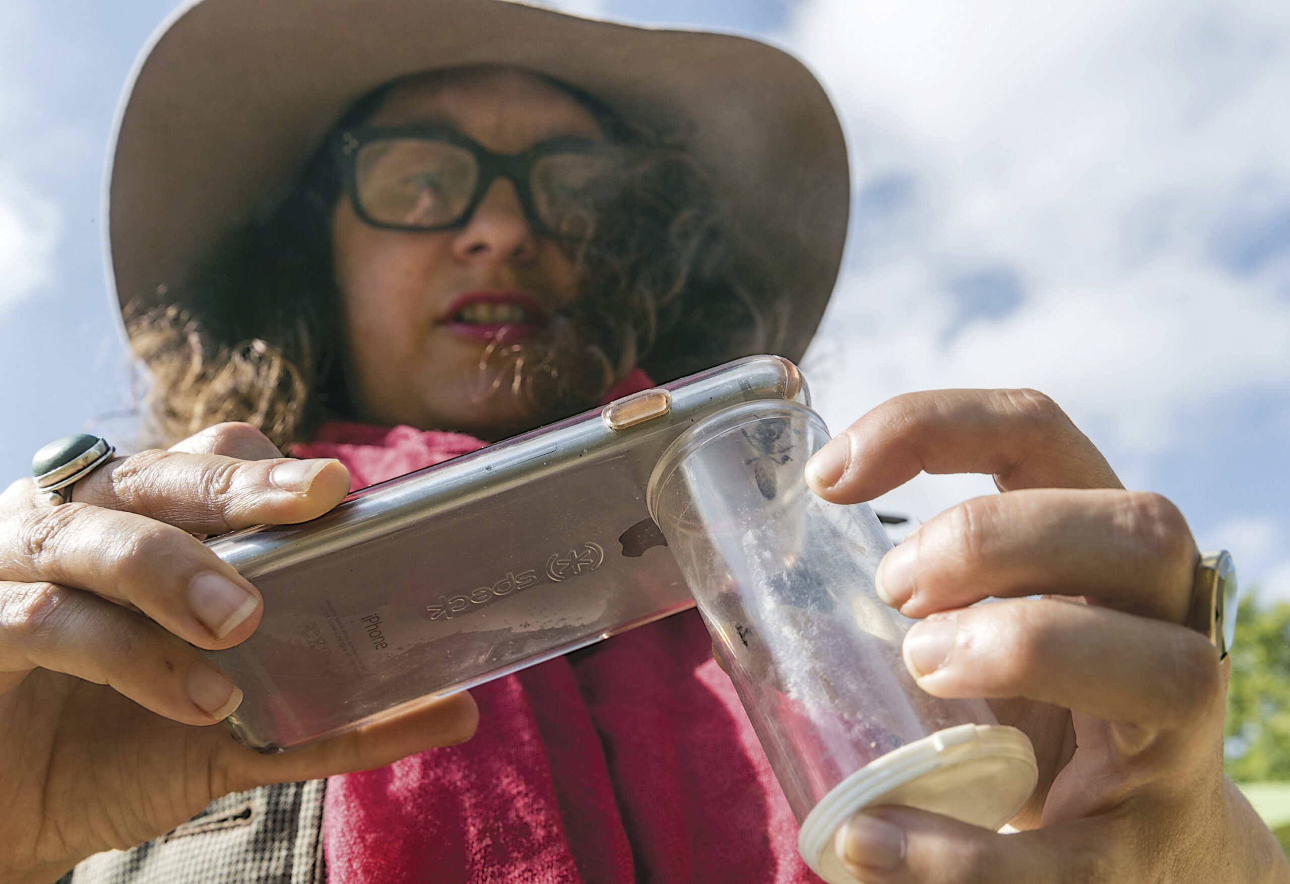 Where the Wild Things Really Are: Urban Backyards