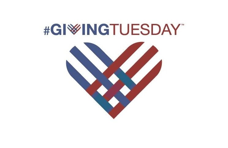 Giving Tuesday Growth Slows Sharply for Large Nonprofits, Study Says