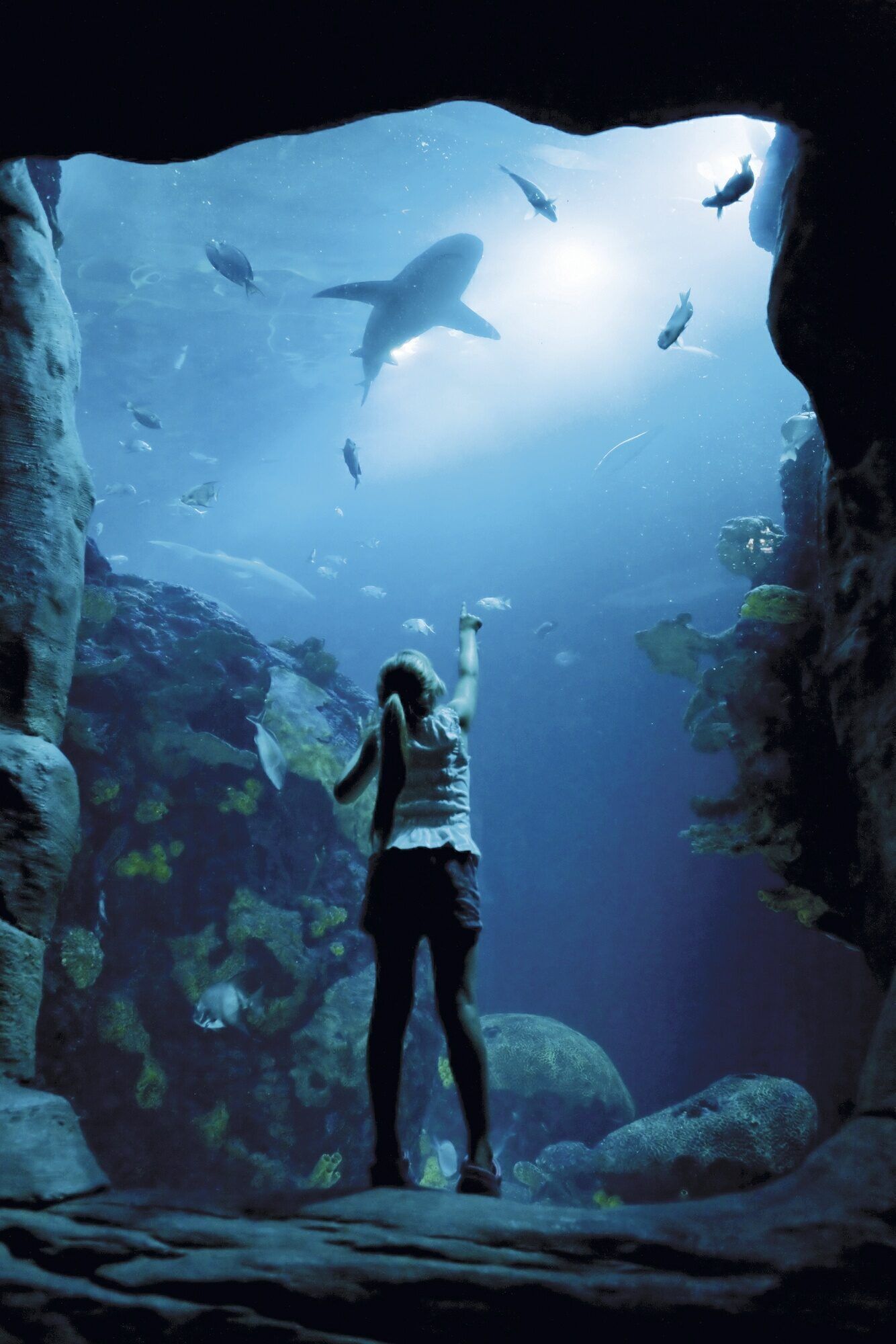 A privately funded $45 million aquarium jump-started downtown revitalization.