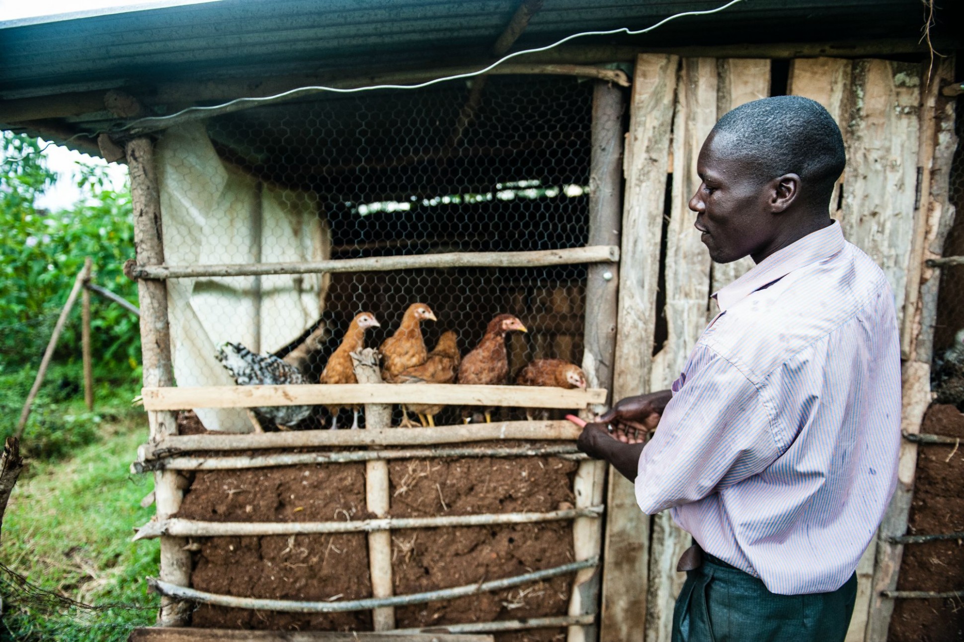 GiveDirectly uses mobile technology to transfer cash grants directly to some of the world’s poorest people.