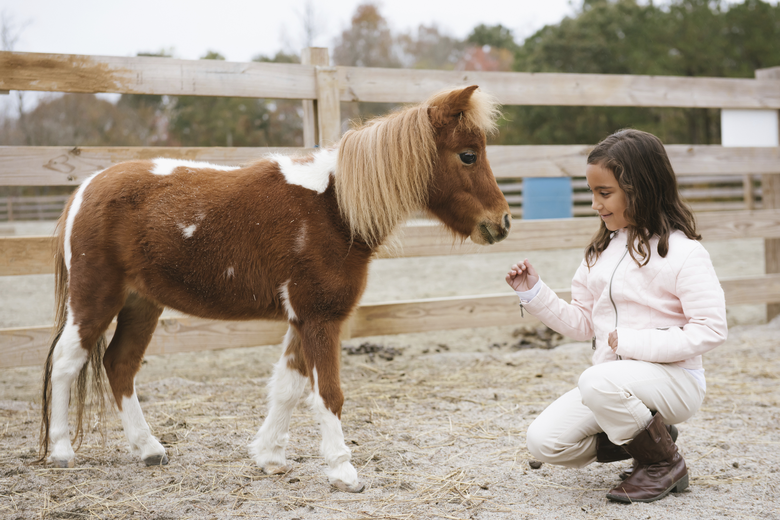 Hope Reins lets children like 5-year-old Destiny care for and bond with horses.