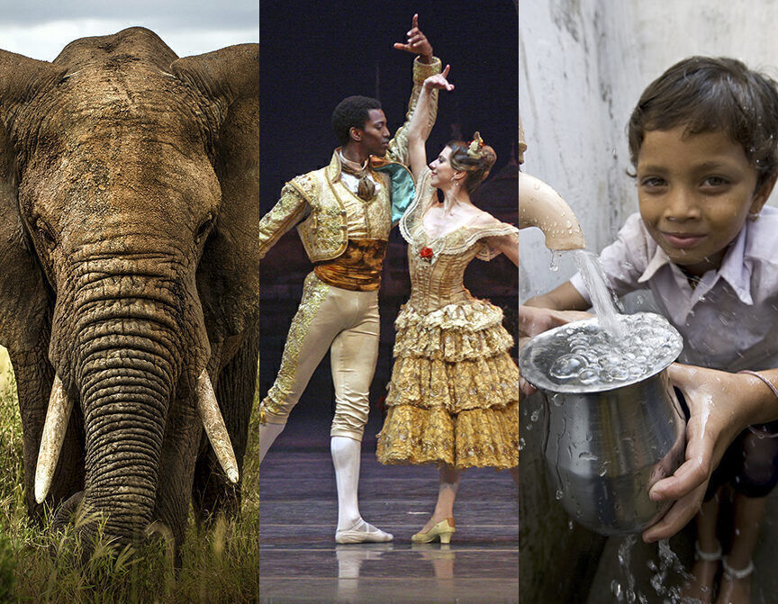 Environmental and conservation causes, the arts, and international aid were among the strongest draws for donor dollars last year, according to the latest “Giving USA” review.