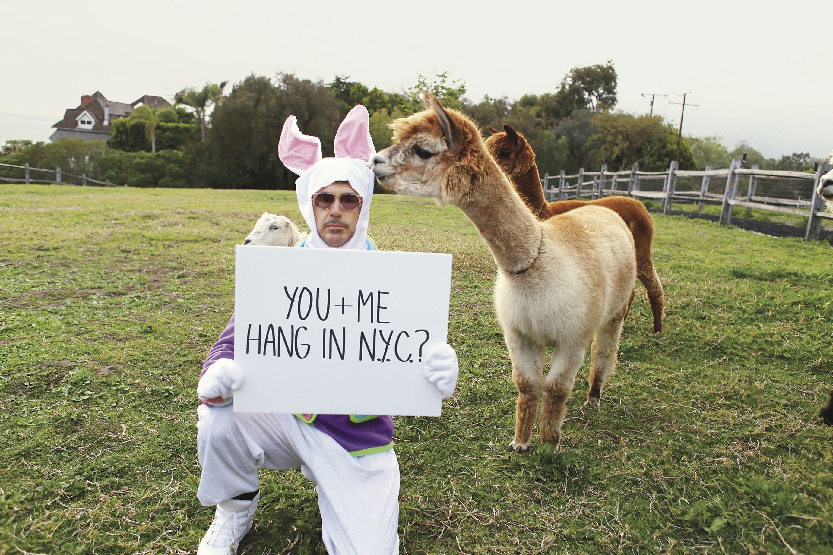 RED-CARPET DRAW: Actor Robert Downey Jr. has moved his fan base to support groups like Make-a-Wish and the Anti-Recidivism Coalition with slick, entertaining video promotions.