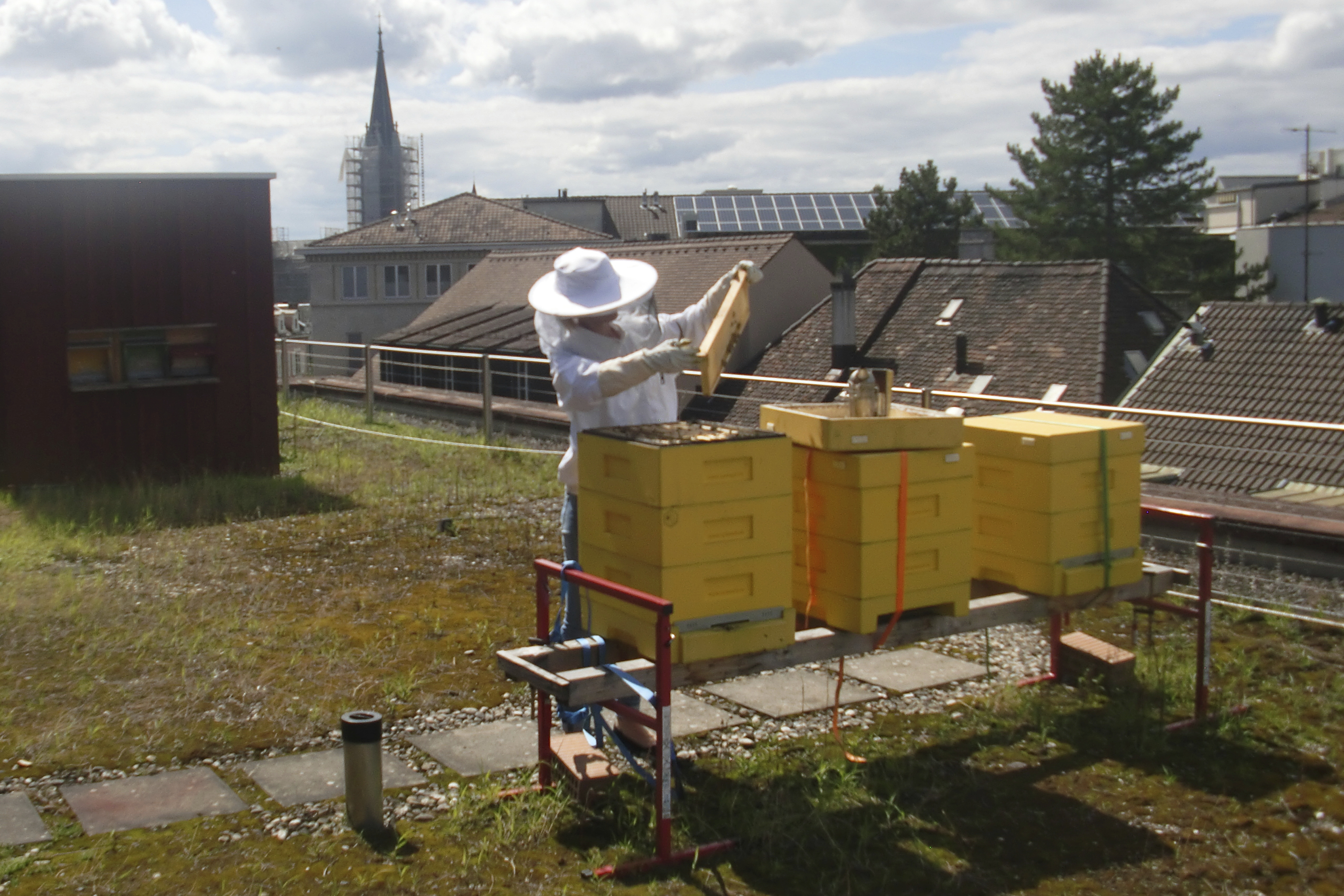 Off Résumé: The Nonprofit World’s Talents Outside of Work 7