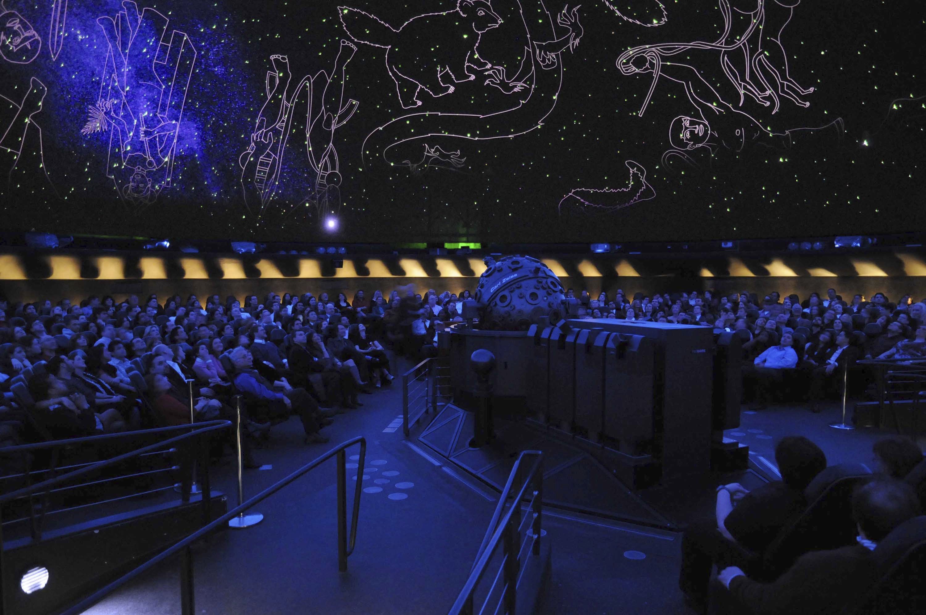 Romance Under the Stars at the American Natural History Museum. 