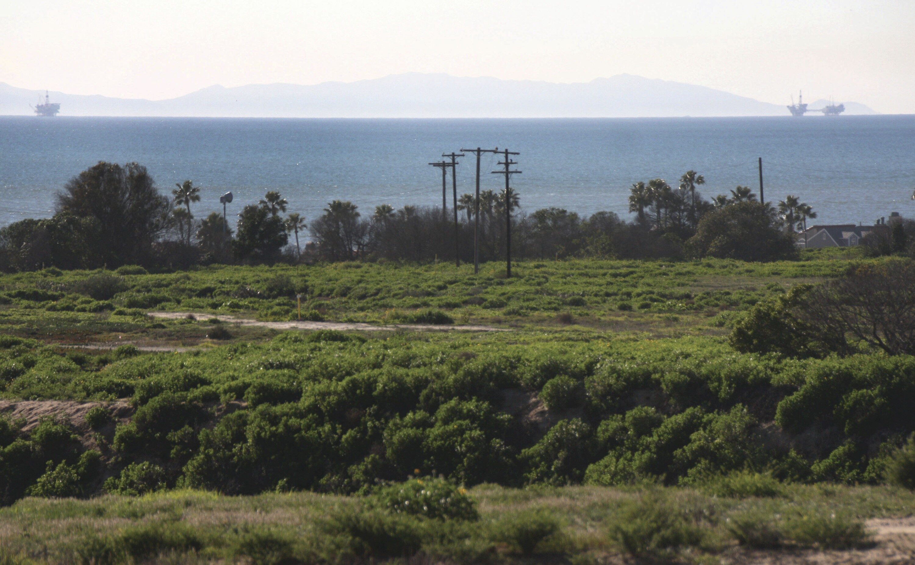 The $45 million that Frank and Joan Randall pledged is designed to 
preserve 401 acres of this undeveloped coastal mesa and wetland. It is the largest piece of undeveloped land in southern California.