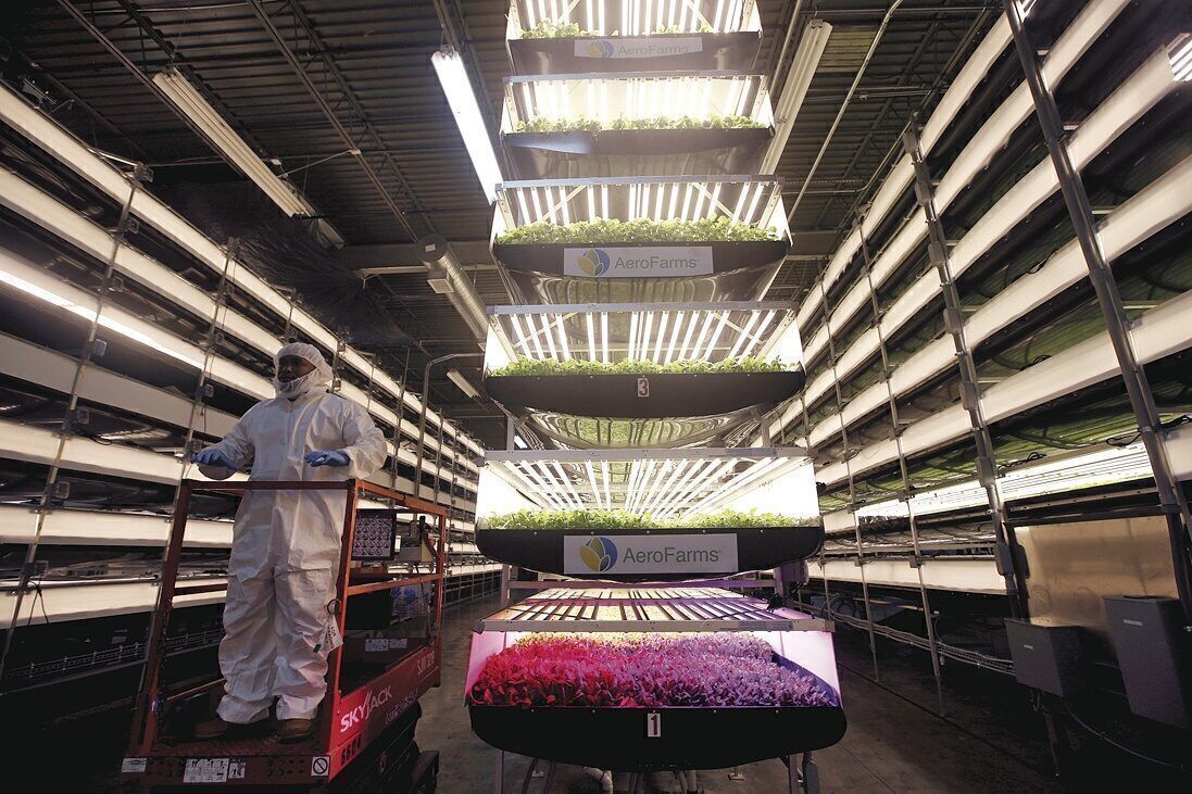 NURTURING GROWTH: Prudential paired an investment in AeroFarms, a company that grows leafy greens, with a grant to train city residents for jobs at the business.