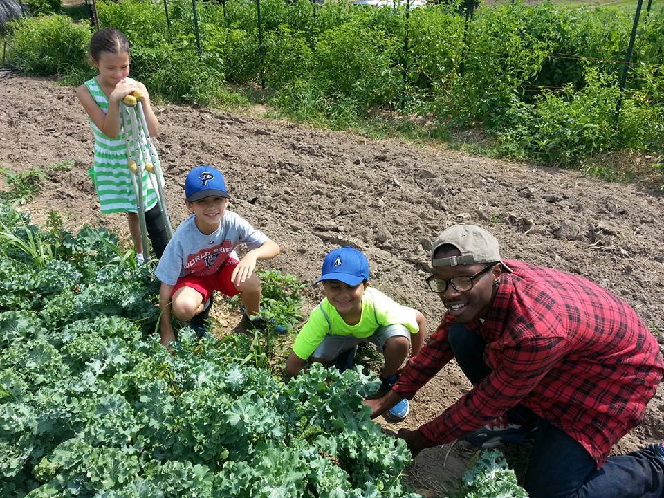 Ferguson high school student Cameron Hill shows three campers how to harvest kale on a field trip to the nonprofit EarthDance Farms last summer. Come Together Ferguson gave $5,000 to the Youth Exploring Agriculture &amp; Health program at the group for this season. 