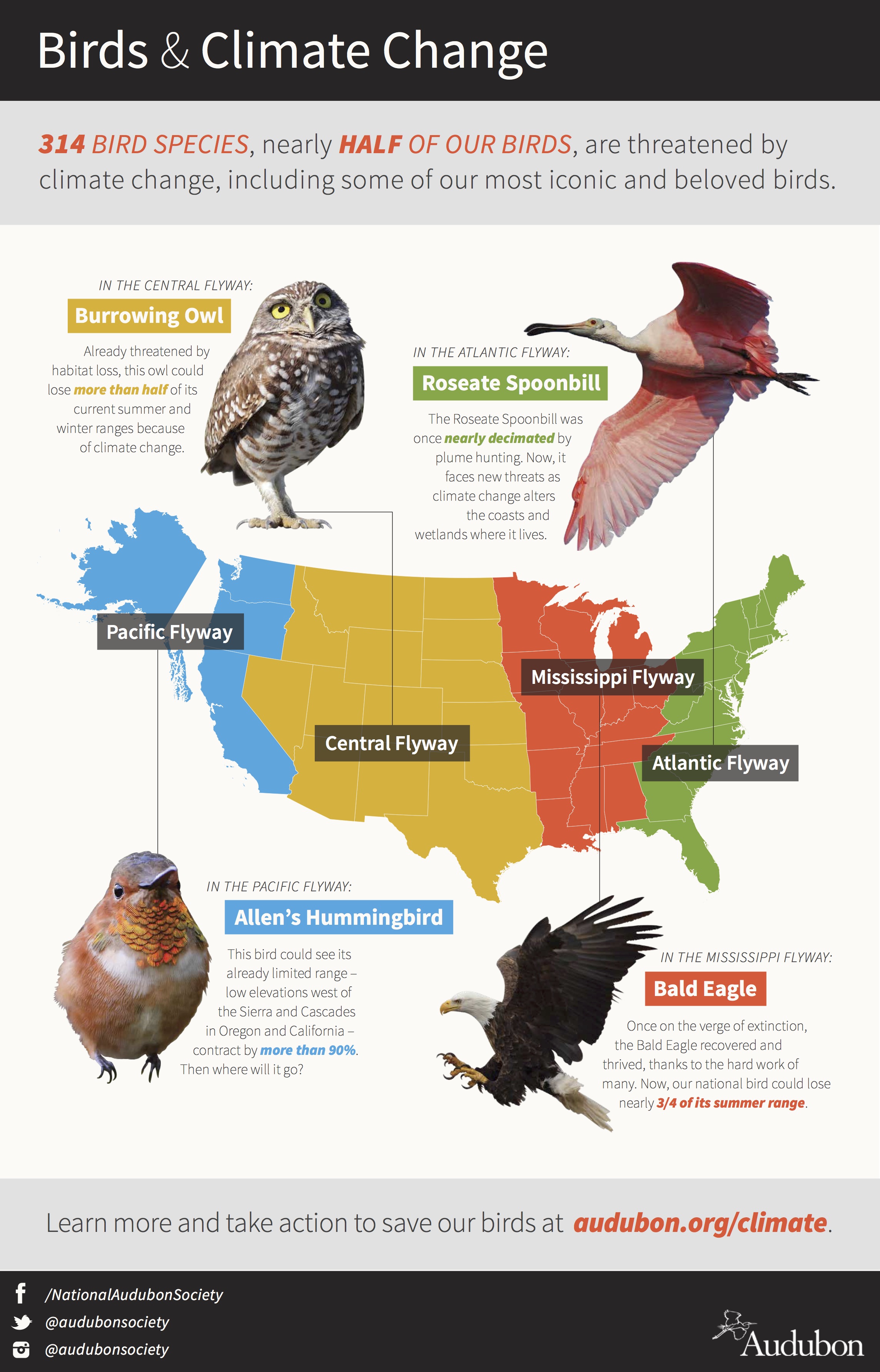 Birds and Climate Change