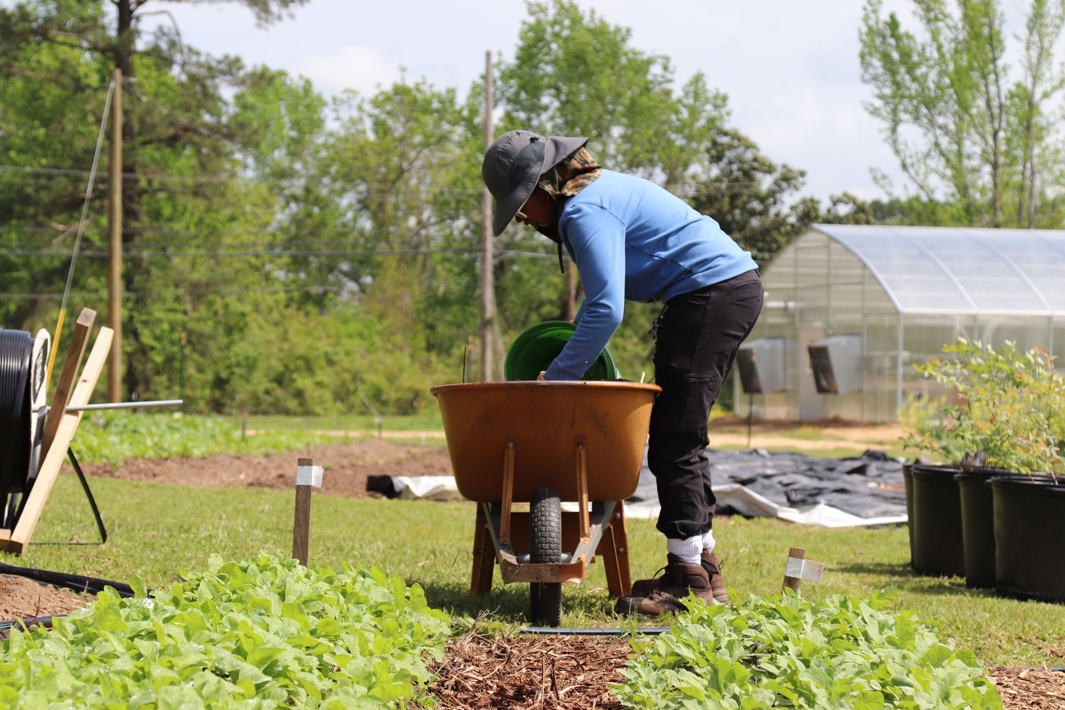 Small Farm Apprentice Kira Cummings works on mulching the beds at the Sipp Culture Community Farm.