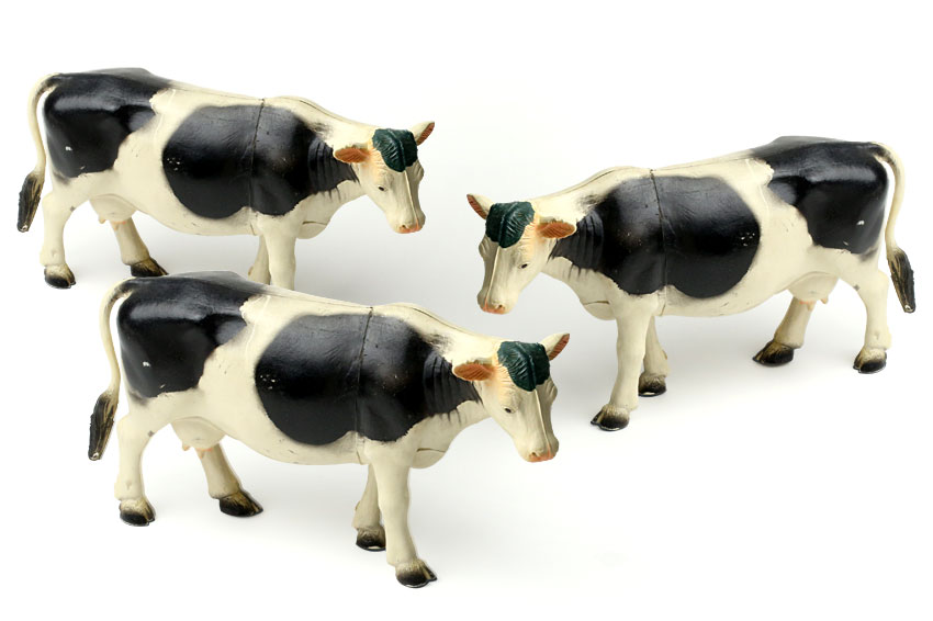 Cows Main