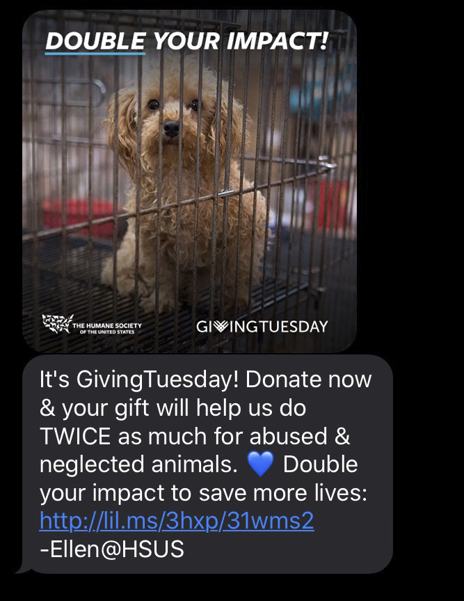 The Humane Society of the United States used texting apps Broadcast SMS (pictured here) and Hustle to interact with donors on GivingTuesday.
