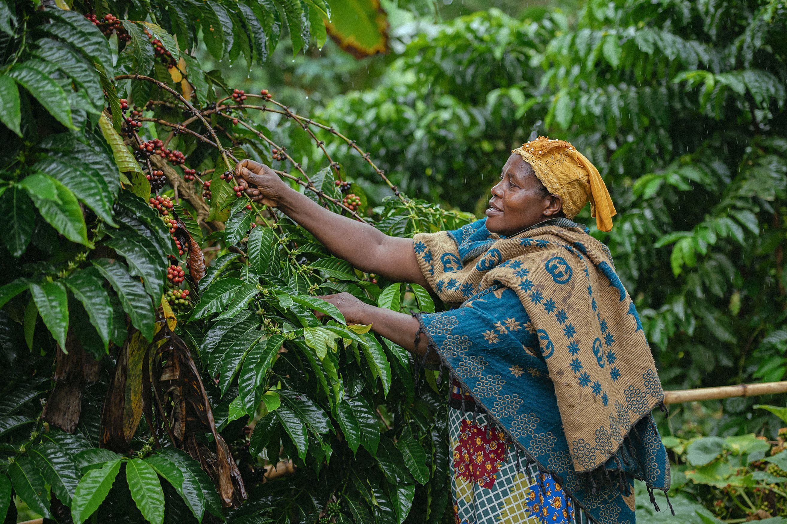 A Women's Earth Alliance Leader participating in a community-led forest conservation and tree-planting program led by WEA and Bukoba Women’s Empowerment Association (BUWEA) in Tanzania.