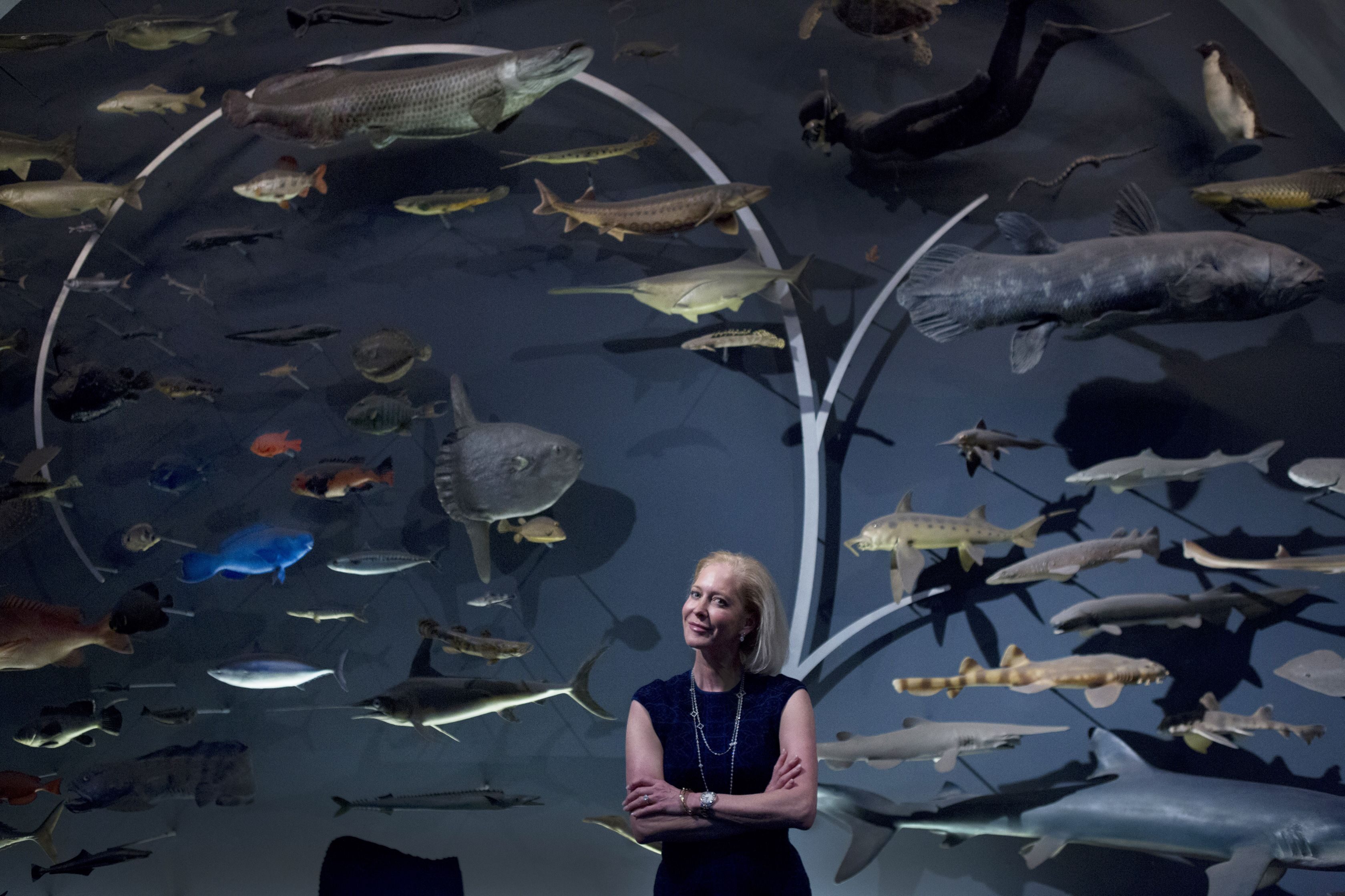 The health of the world’s oceans looms large in Wendy Schmidt’s giving with her husband, former Google CEO Eric Schmidt.<br/>