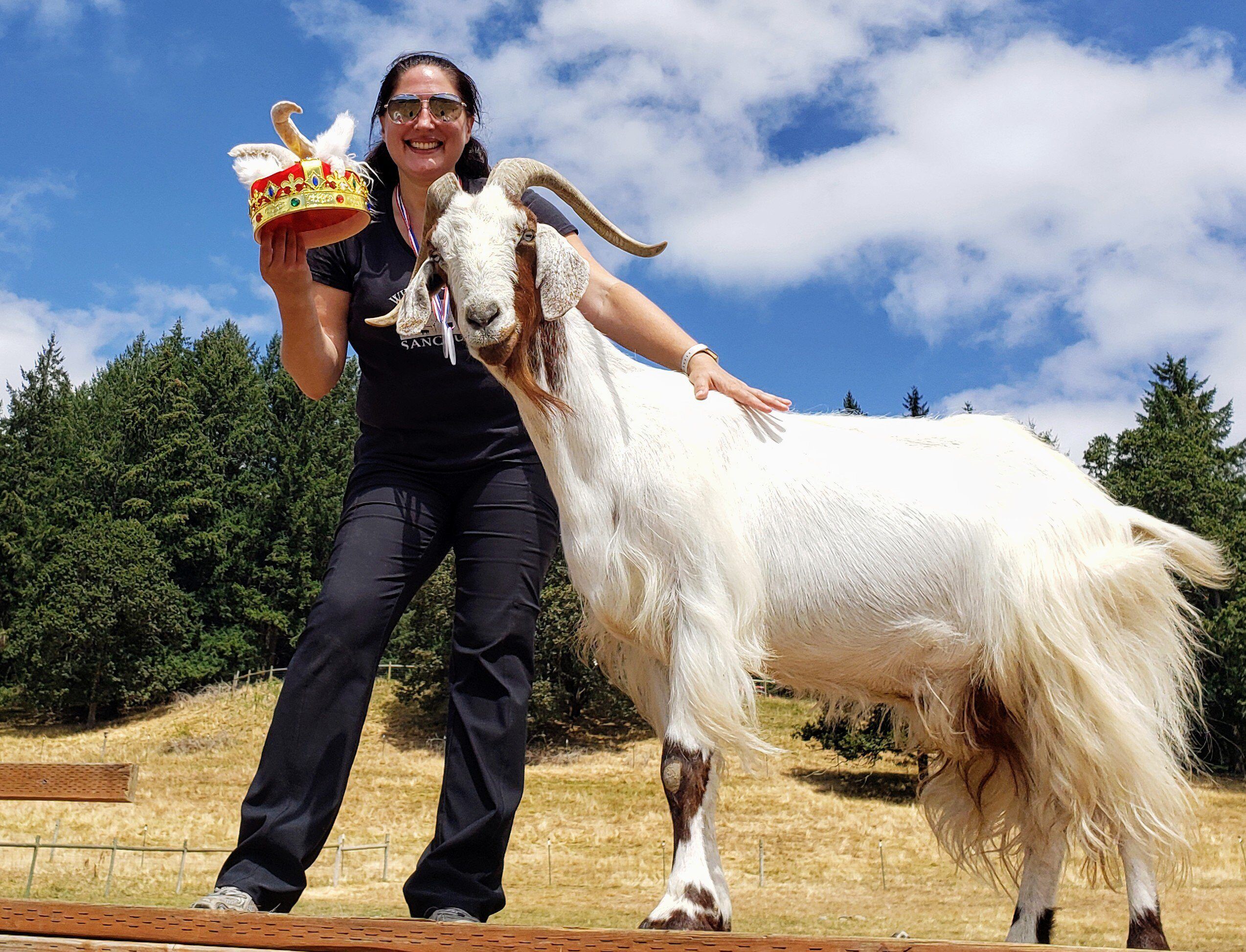Wildwood Farm Sanctuary’s Goat Games featured top medal-winners with team captain Orin, a goat. Here Volunteer Coordinator Mekah Hall won the G.O.A.T. crown for bringing in $1600 in donations, and is seen posing with Orin.