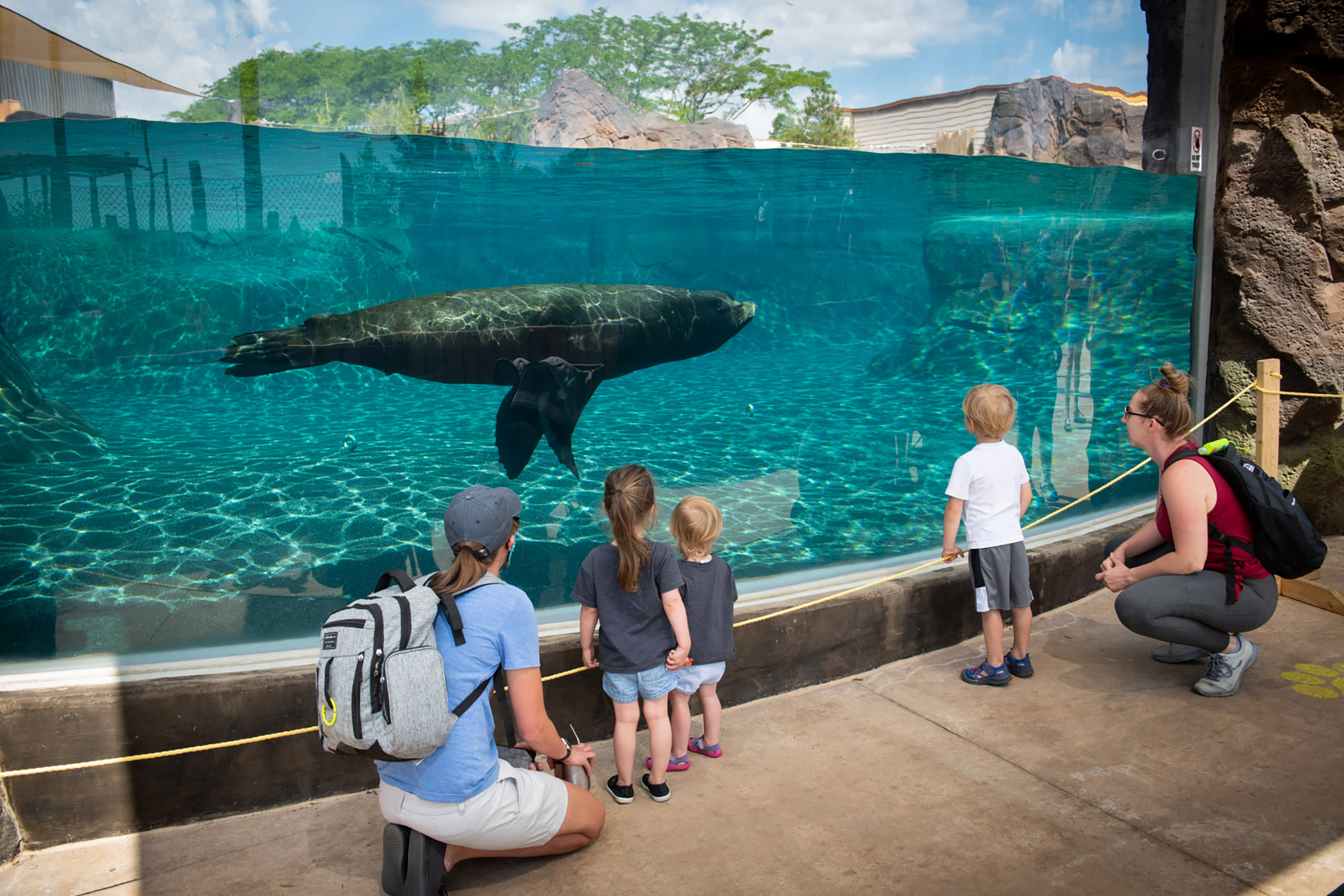 Adults and children watch a seal swim past theml in the Adventure Cove at the Columbus Zoo and Aquarium in Powell, Ohio. (Grahm S. Jones, Columbus Zoo and Aquarium)
