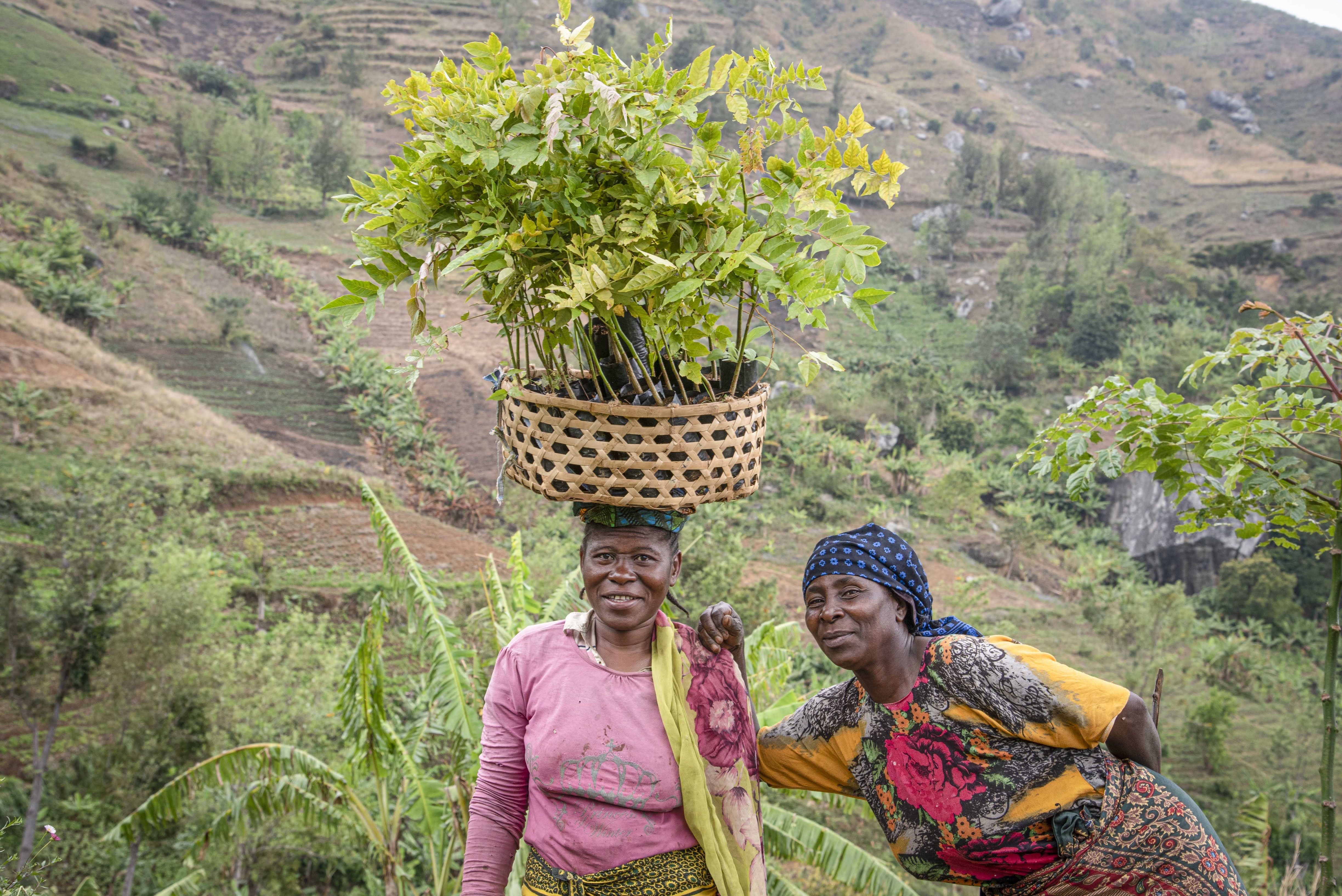 Two African women are seen posing for a camera in the rural countryside. One woman has a basket on her head bearing a number of saplings. The other, standing next to her, leans in and places her hand on her shoulder. 