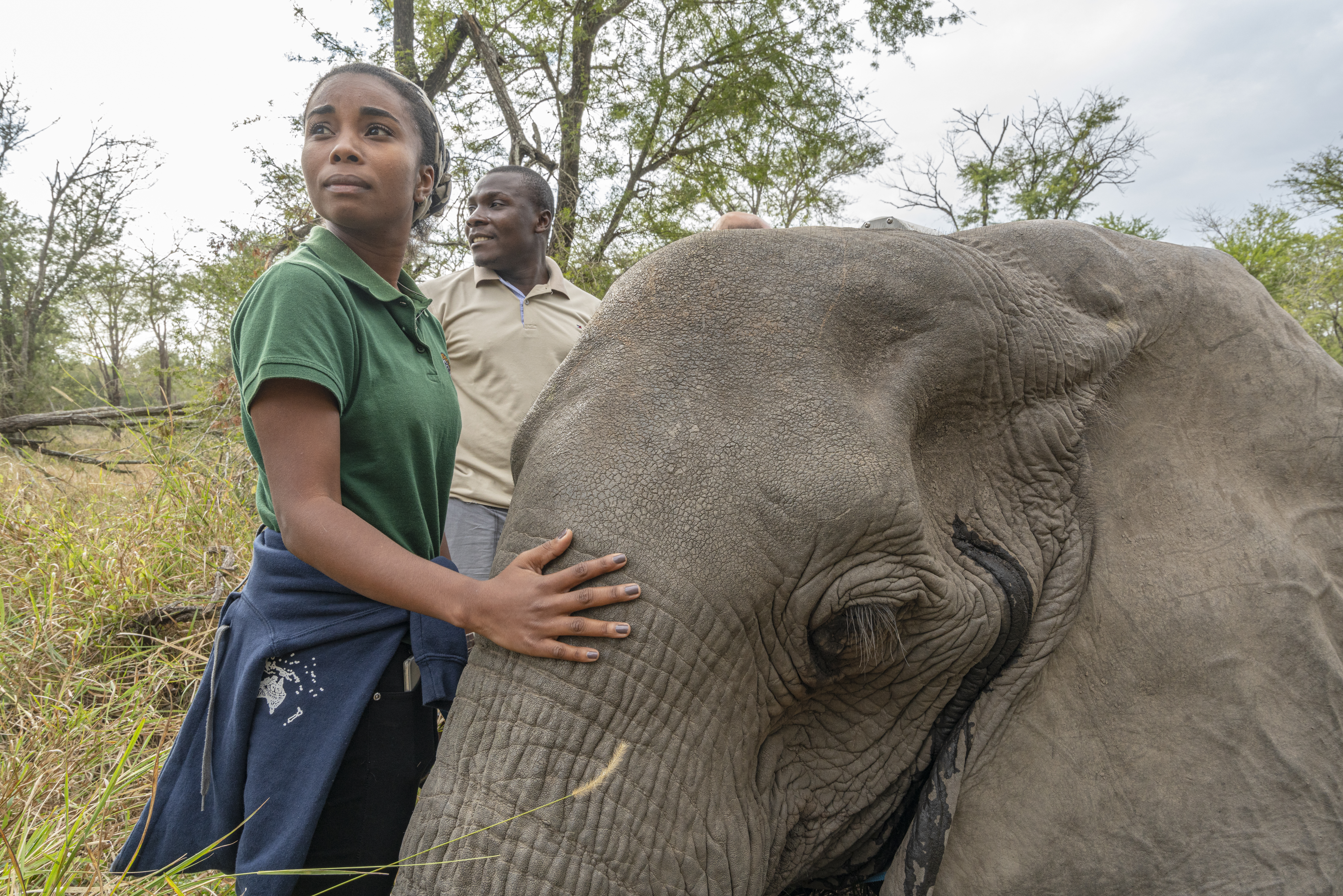 A black woman stands next to an elephant which is laying on the ground. She touches the animal’s forehead with her right arm as she looks off into the distance. 