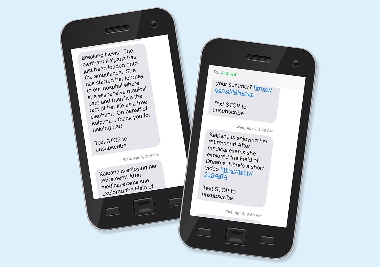How to Incorporate Text Messaging Into Your Fundraising