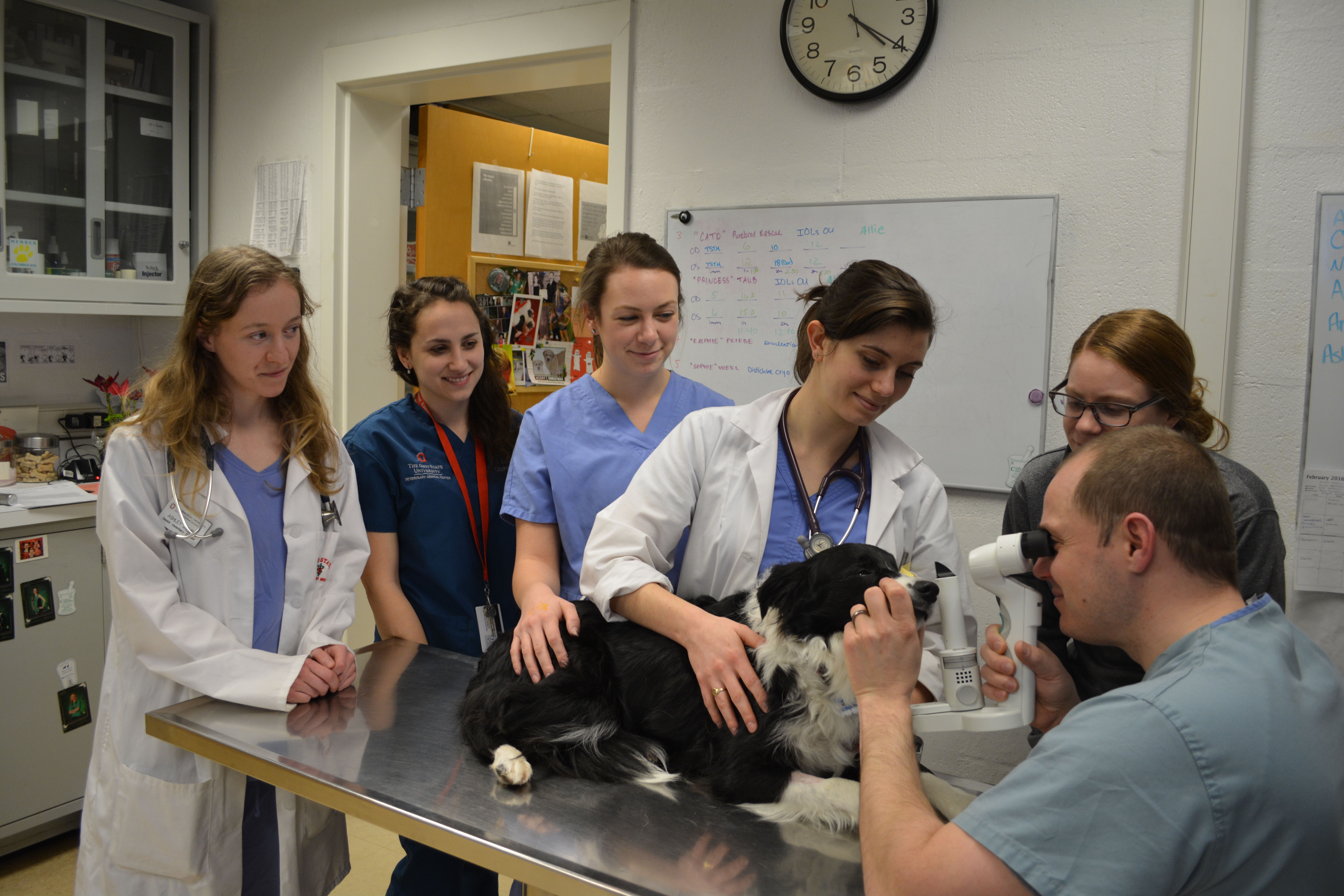 Eric Miller (right), an assistant professor at Ohio State’s Veterinary Medical Center, teaches students how to conduct a canine eye exam. A grant from the Stanton Foundation will expand the university’s animal-care programs and facilities.
