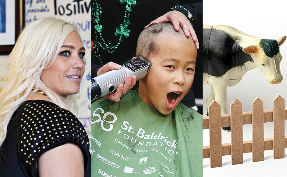 2016 in Review: The Most Popular Chronicle Articles of the Year