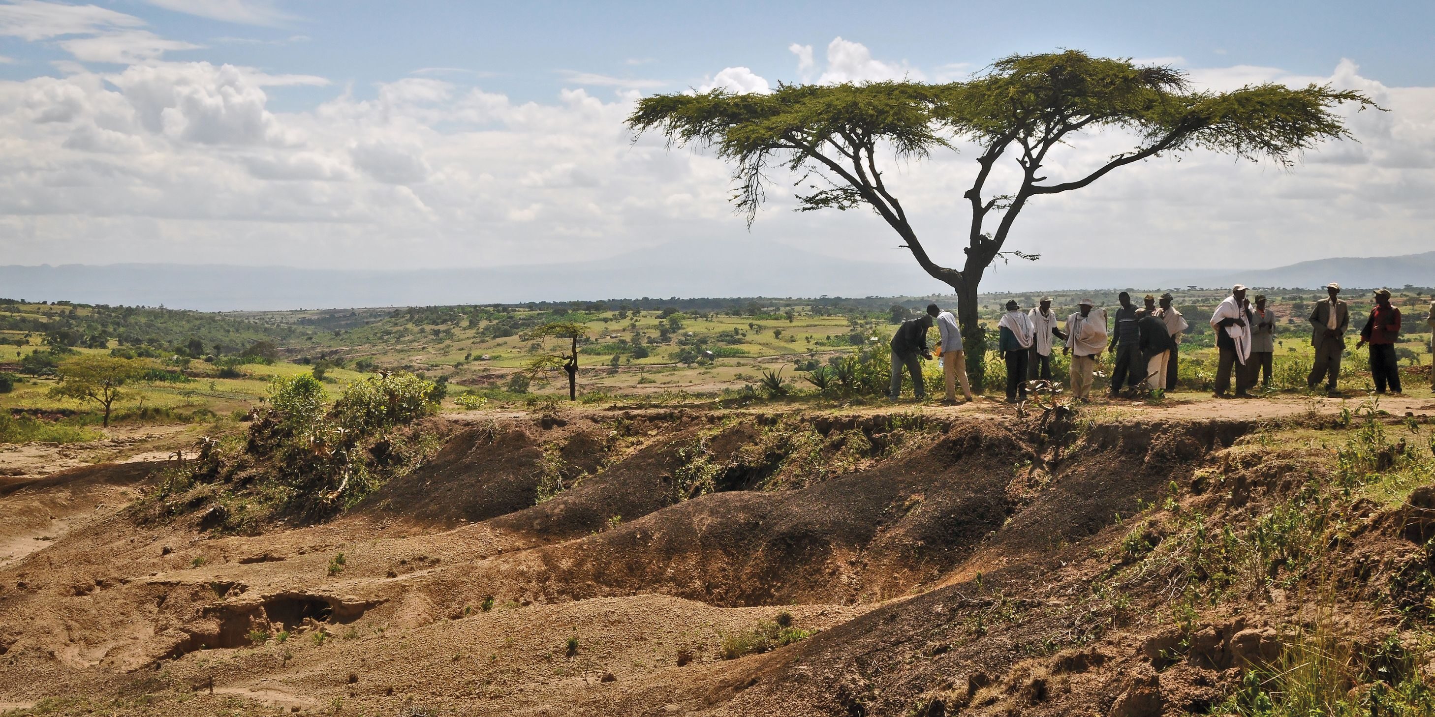 ROOTS OF CHANGE: The World Resources Institute, which replants forests in Ethiopia, has invested more than two-thirds of its nearly $40 million endowment for environmental sustainability. 