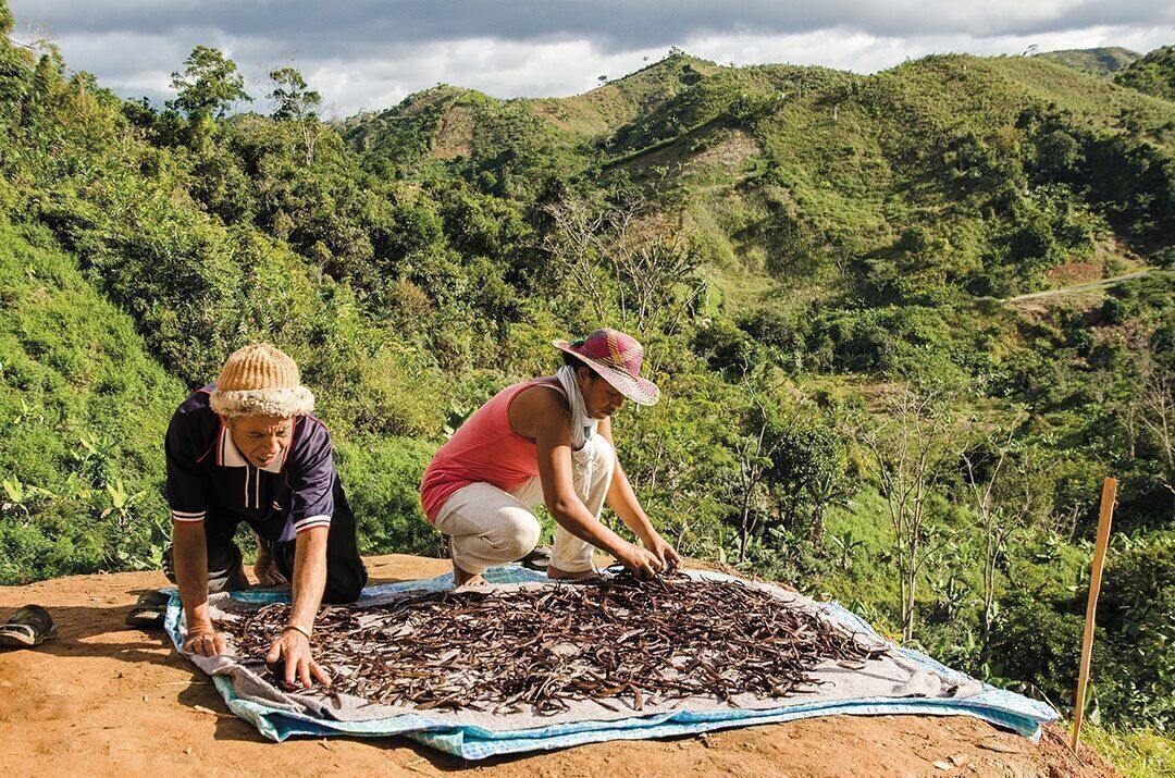 JUMPING IN: Catholic Relief Services made its first impact investment late last year, a $500,000 loan to Lafaza, a company in Madagascar that buys vanilla at fair prices from local farmers.