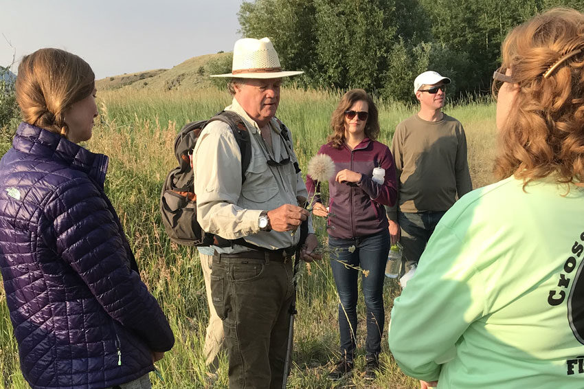 Nature becomes a powerful metaphor. Whitney Tilt asks us to pause to consider how one plant fits into the West Creek Ranch ecosystem. How did it get here? What conditions make it thrive? What qualities does it contribute?