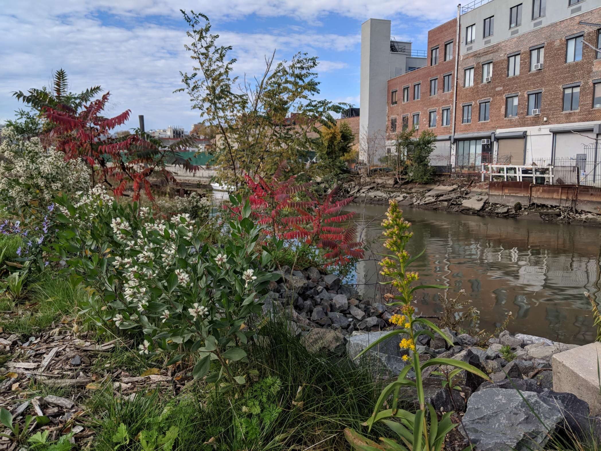 Gowanus Lowlands in New York City