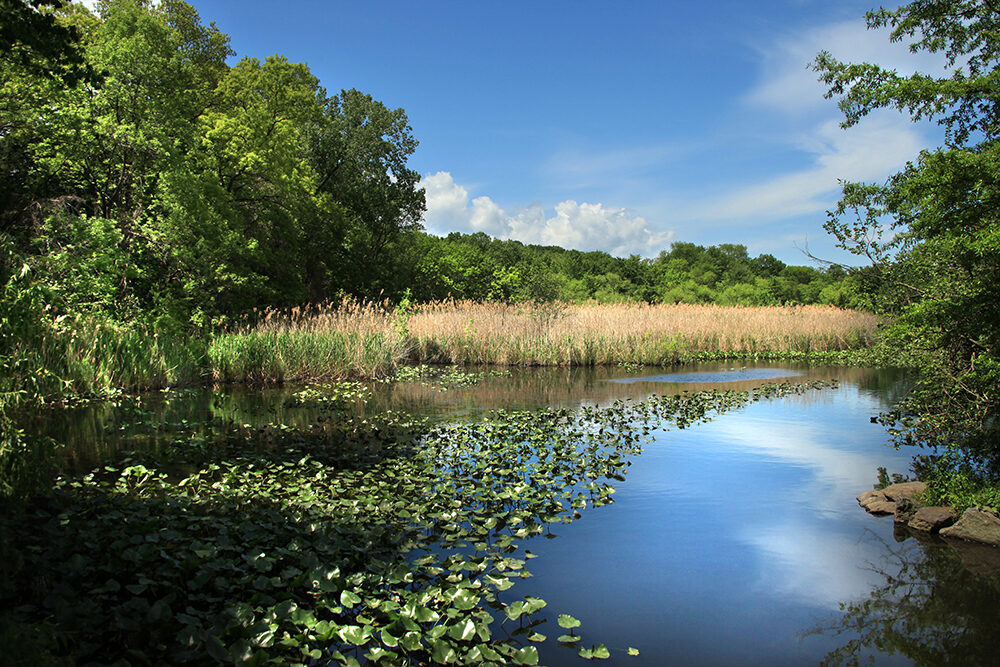 Van Cortlandt Park in New York City