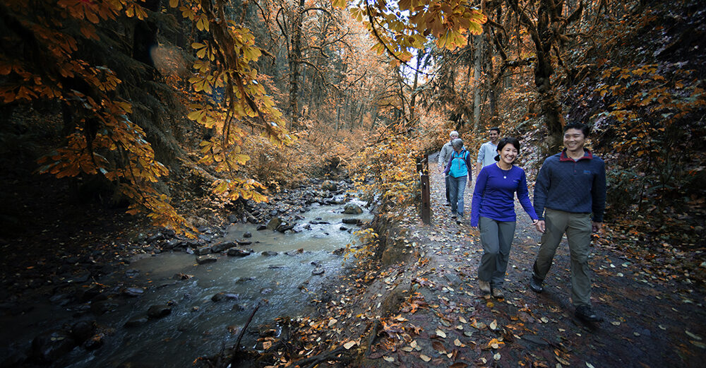 Forest Park in Portland, Oregon