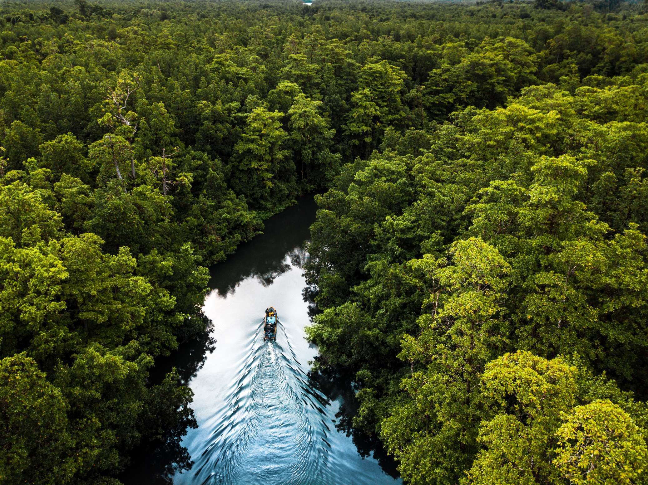Solomon Islands by river boat.