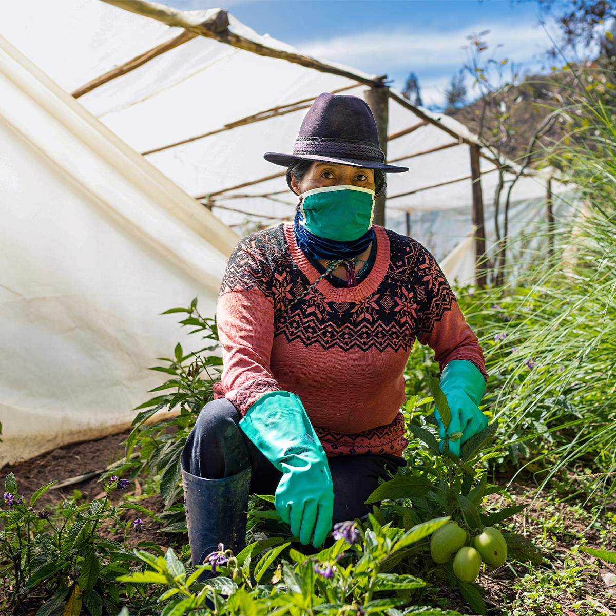 Heifer International is developing a Covid-19-focused year-end campaign that positions farmers as frontline workers and heroes.
