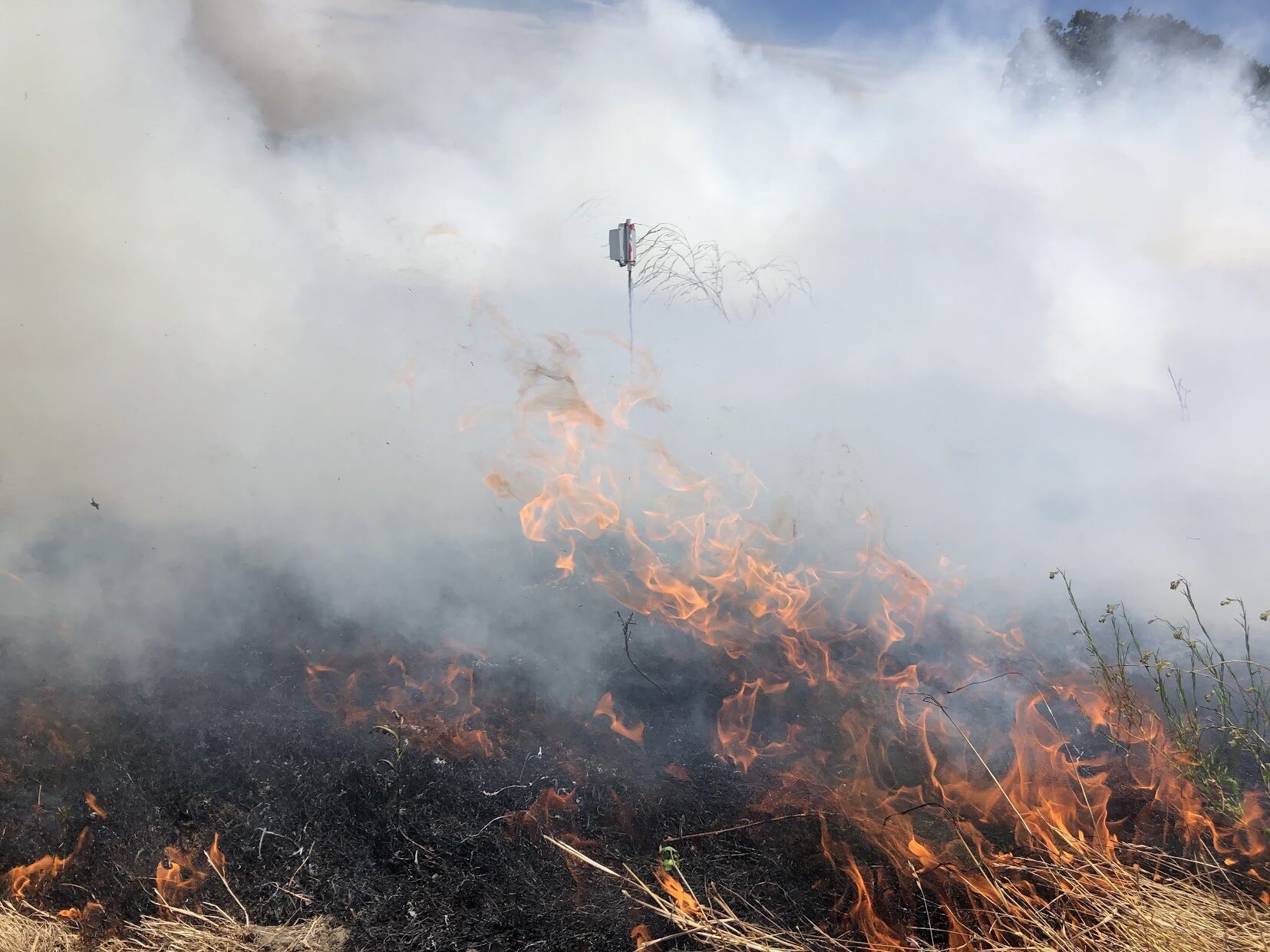 A prototype wildfire detection sensor in place during a controlled burn during pilot phase of a project supported by the Gordon and Betty Moore Foundation. The sensor detects temperature and humidity changes and sends information directly to Zonehaven, a platform that helps firefighters determine who should evacuate.