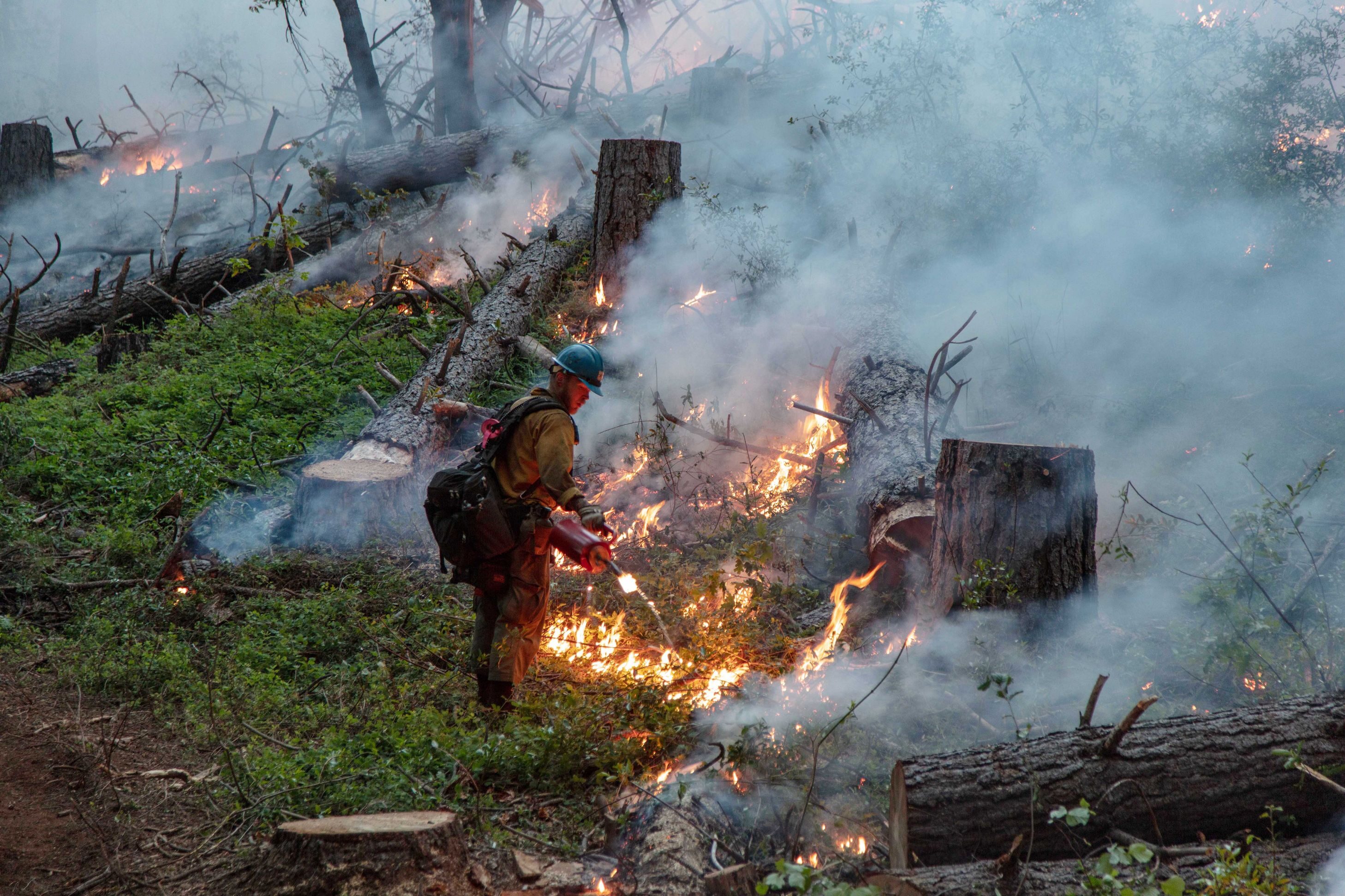 The United States Forest Service Hotshop crew, based in Foresthill, CA, performs a controlled burn in the Tahoe National Forest, on June 6, 2019.