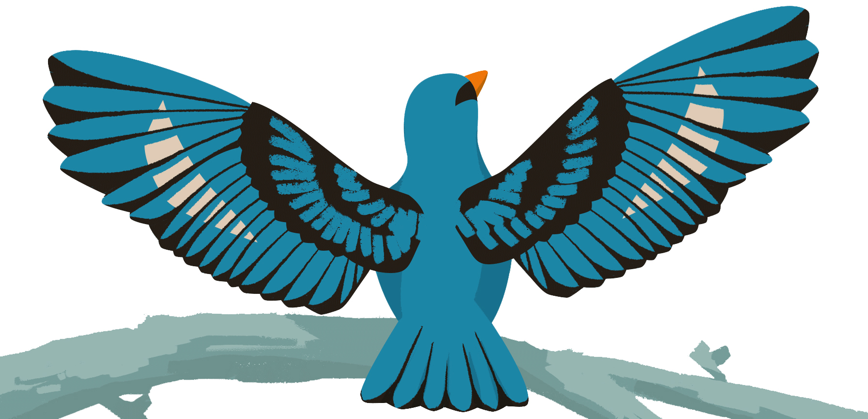 A bird on a tree branch spreads its wings.