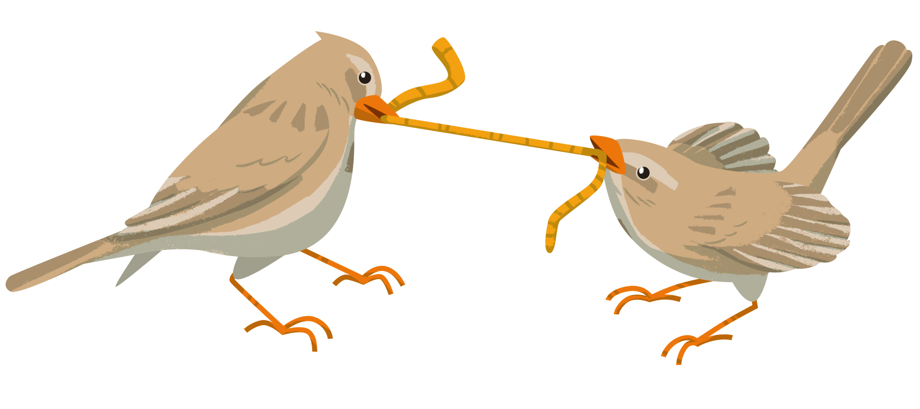 Two birds fight over a worm.