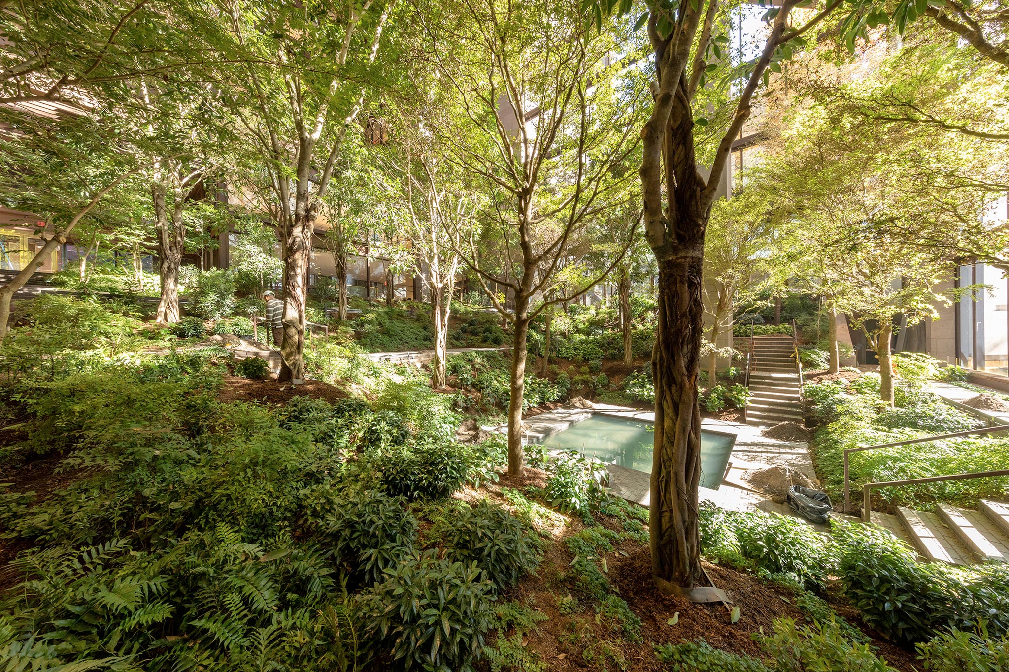 A lush, multi-level urban garden with dense green trees, ferns, and shrubs. Modern buildings are visible through the foliage, and stone stairs with handrails traverse the sloped landscape. A rectangular pond is in the mid-ground, and a person is gardening on the left.