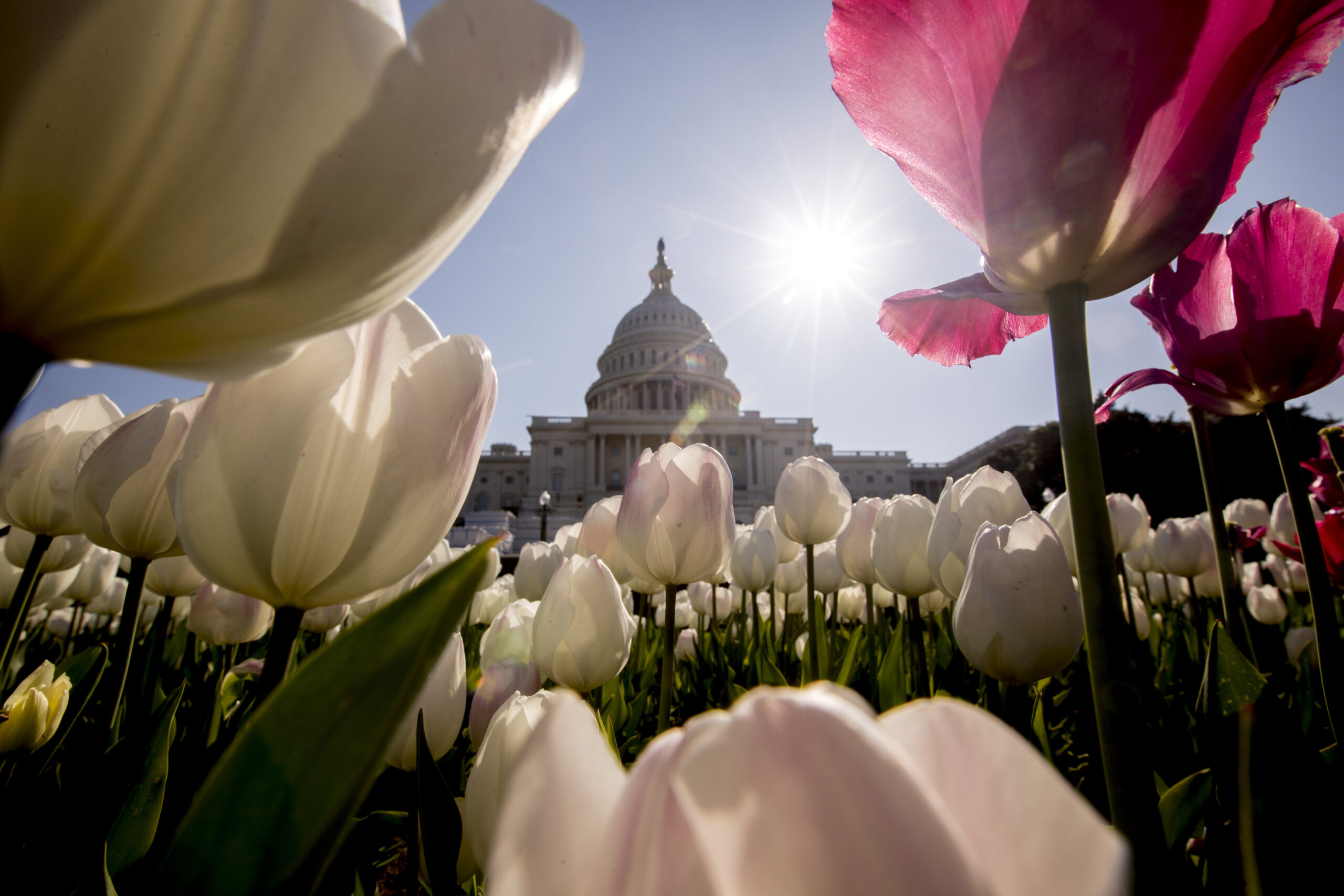 New Philanthropy Caucus Ensures Funders Have Friends on the Hill