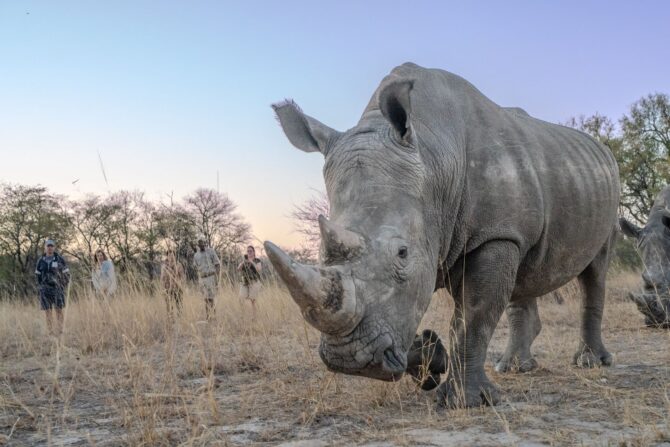 How High-Touch Expeditions Build a Pipeline of Major Supporters