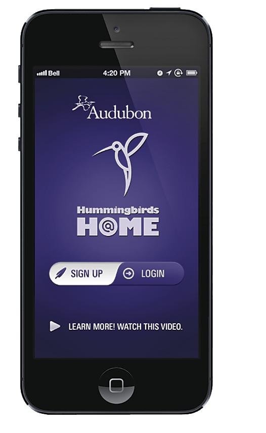 Bird-Counting App Helps Charity Collect Data