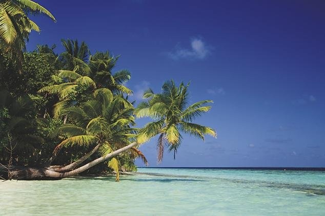 Environmental Groups Need to Stop Carrying the Weight of the World