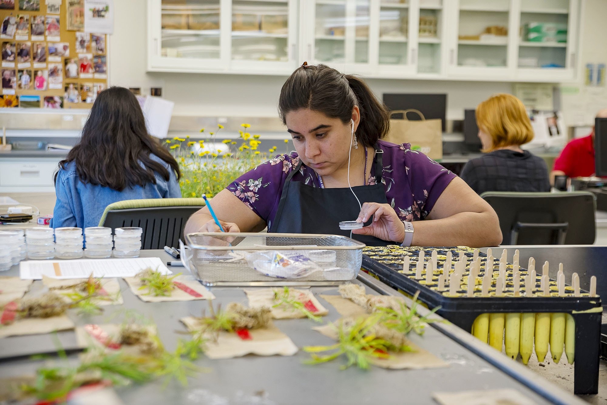 Chicago Botanic Garden Collects $10 Million for Conservation Science (Grants Roundup)