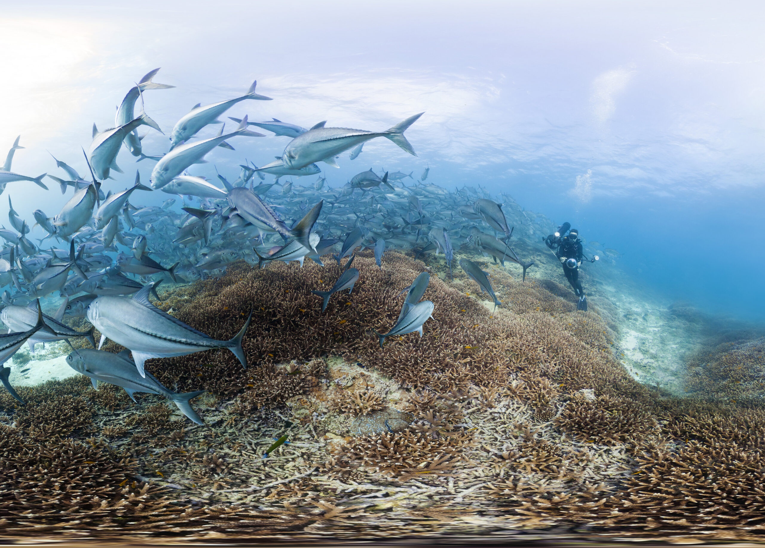 Foundations Back Film-and-Activism Campaigns to Fight Global Warming