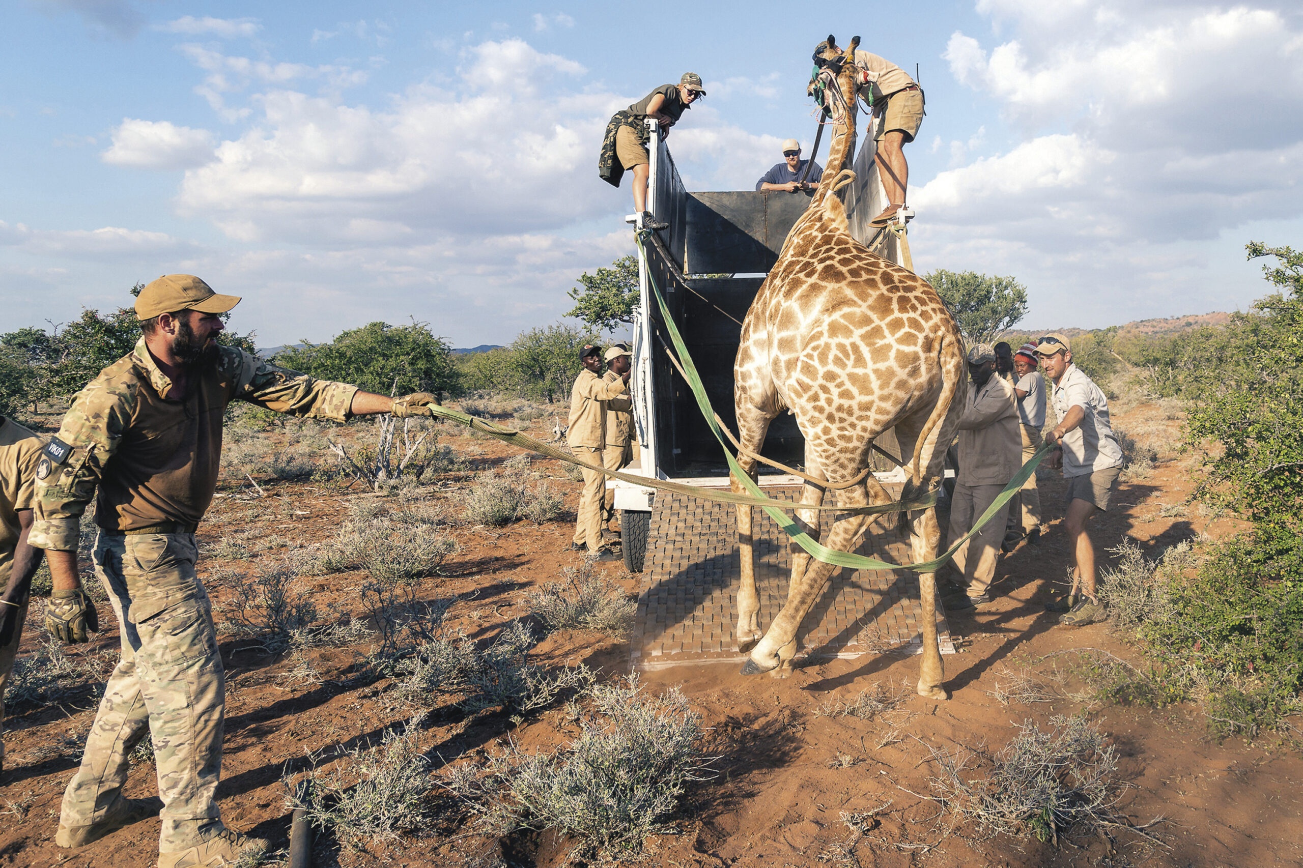 Wild Combat: Saving Animals From Poachers